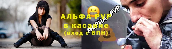 соль ск Тайга