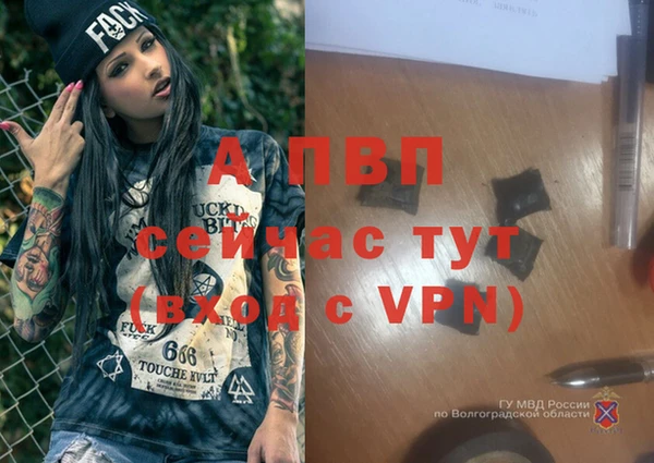 дживик Тихорецк